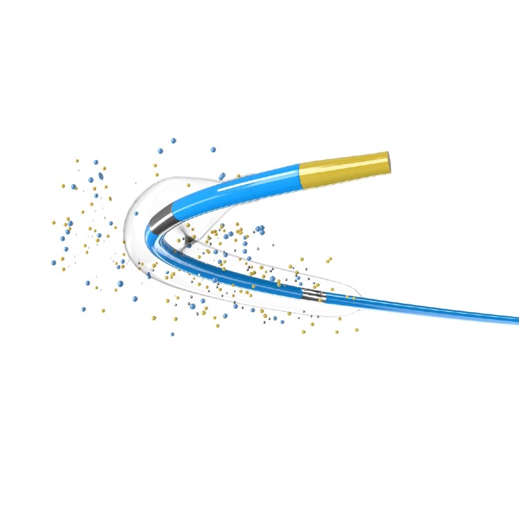 Coronary Drug-Coated Balloon Dilatation Catheter